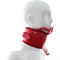 O Ring Gag Posture Collar