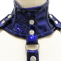 Neck and Underbust Corset